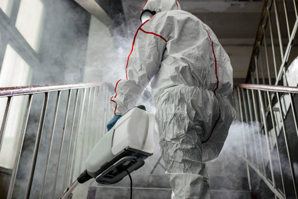 Mold Odor Removal Services in Senatobia, MS